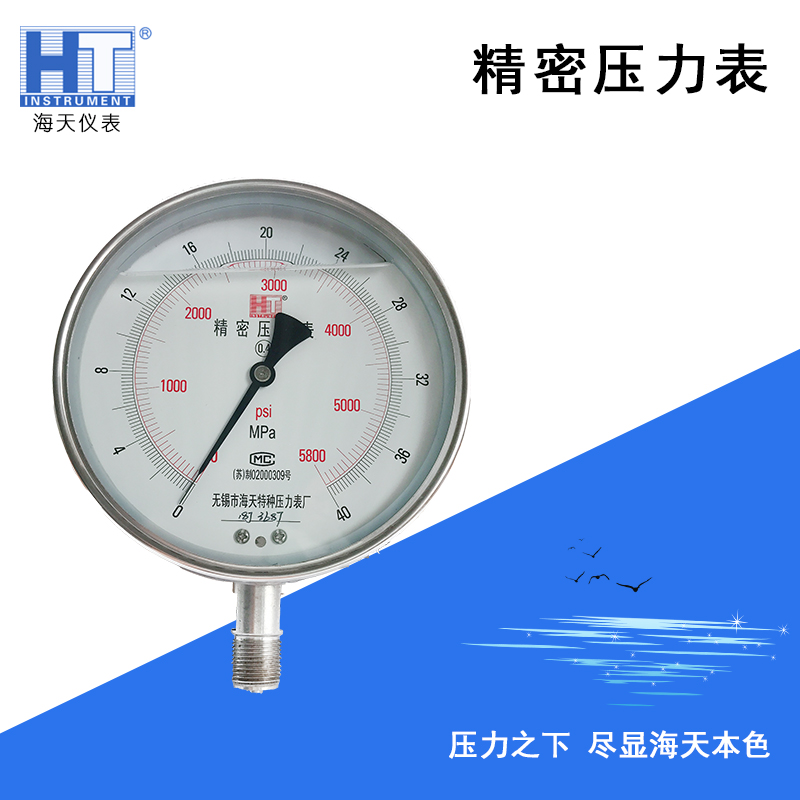 數字壓力表 精密數字壓力表 0.1級精密數字壓力表